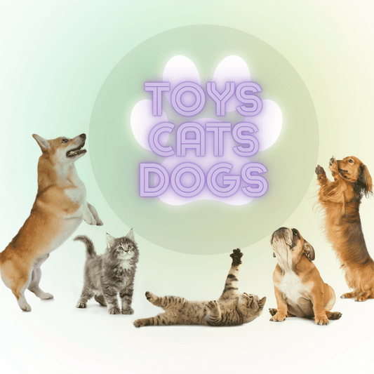 **The Best Interactive Dog & Cat Toys for Mental Stimulation and Physical Activity**
