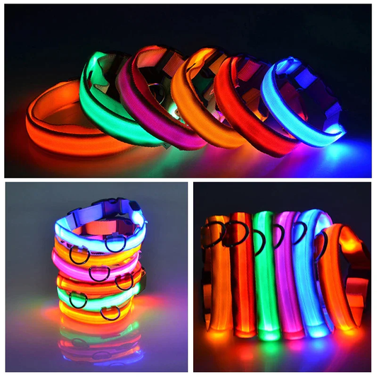 The Safety and Benefits of LED Dog Collars: Shedding Light on Pet Safety
